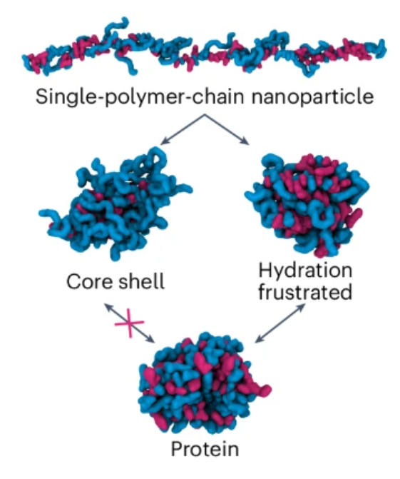 Bio-Inspired Soft Matter